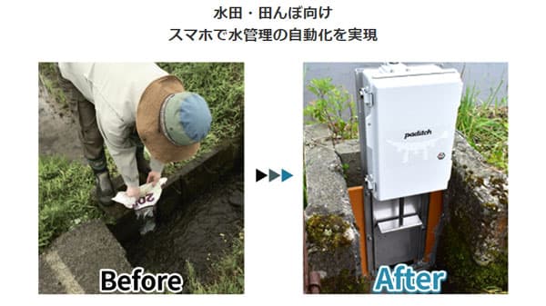 AI活用し水田の水管理の最適化へ　J-クレジットの申請にデータ活用目指す　NTTデータ