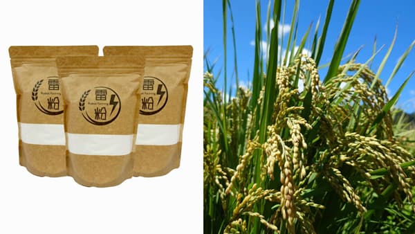 ロボット稲作から生まれた米粉「雷粉」販路拡大　テムザック