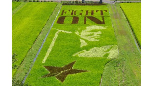 永ちゃんが「田んぼアート」に　矢沢永吉ファンなど美作市で田植え
