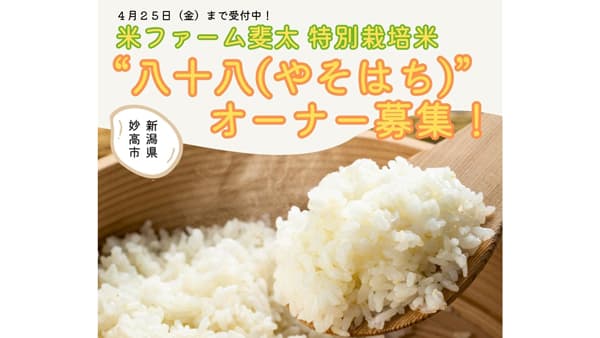 新潟・妙高の自然が育む特別栽培米「八十八」オーナー募集開始