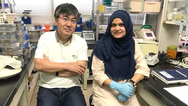 「雨にも負けず塩にも負けず」環境変動に強いイネを開発　島根大学・赤間一仁教授インタビュー