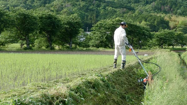 草刈り委託に自治体が補助　「時給1500円」担い手支援