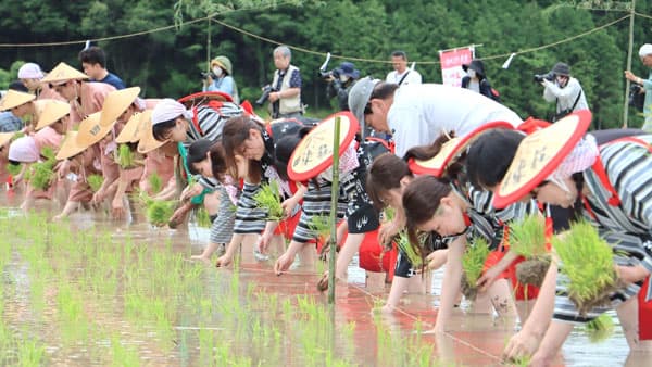世界農業遺産「田染荘」で昔ながらの田植え体験「御田植祭」開催　大分県豊後高田市