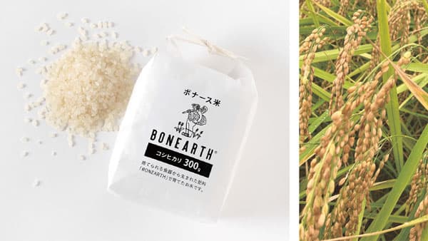 捨てられる食器から生まれた肥料で育てたコシヒカリ「ボナース米」発売　NIKKO