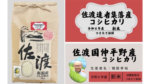 佐渡産新米　新潟県佐渡市のふるさと納税返礼品で提供開始
