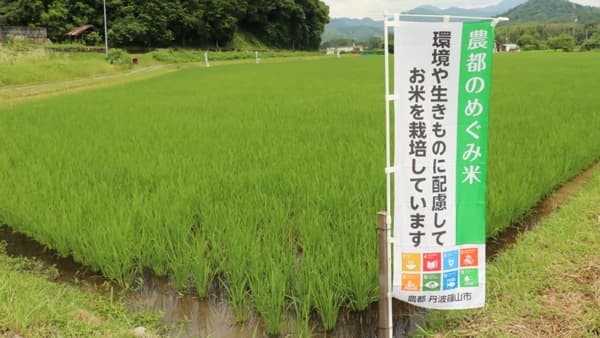 生きものや環境にやさしい米「農都のめぐみ米」で取り組み　兵庫県丹波篠山市