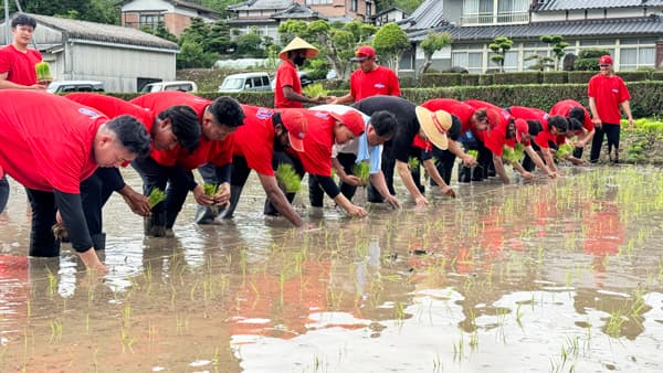 プロ野球チーム「佐賀アジアドリームズ」ホームタウンの耕作放棄地で米づくり開始