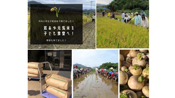 子どもの収穫米を子ども食堂に提供　新しいカタチのフードドライブ　相模原市