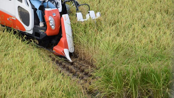 【本紙独自調査 JA担当者の声】「飼料米"足かせ"疑問」「担い手不足深刻」「資材高騰追い打ち」など強い危機感