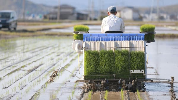愛知、ダムの底がカラカラに　田植え前、農家に打撃　ＪＡ「節水」呼びかけ