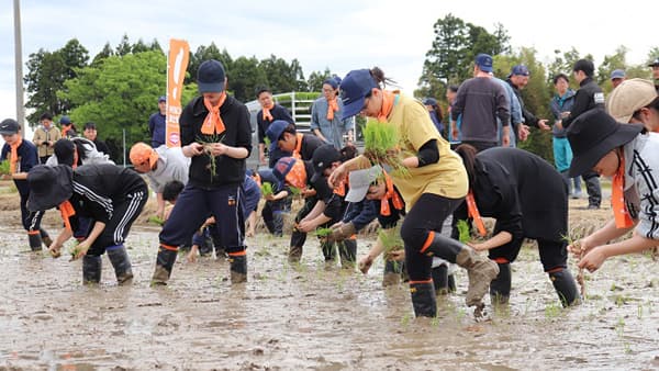地元ＪＡや農家からお米について学び「どろんこ新米社員研修」実施　亀田製菓