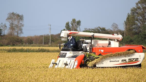 備蓄米の格安放出で農家圧迫　米どころ秋田の大潟村議会　小泉農相に意見書送付