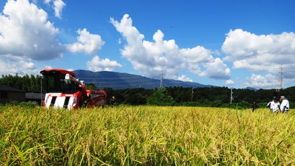 三重県いなべ市の塩崎圃場が有機JAS「有機農産物」認証取得　KIMOTOファーム