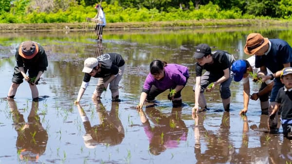 「親子でお米の田植え体験イベント」5月25日に開催　momofarm×農産直売所あぜみちのコラボ企画　グリーンデイズ