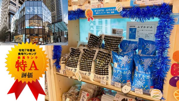 特A評価の滋賀県産米「きらみずき」「みずかがみ」東京・日本橋「ここ滋賀」で販売開始