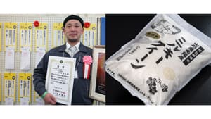 コンクール金賞米　しまさき農園「ミルキークイーン」販売中　うまいもんドットコム