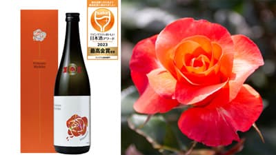 東京農大発のバラ酵母使用「一ノ蔵 純米吟醸 プリンセス・ミチコ」数量限定で発売