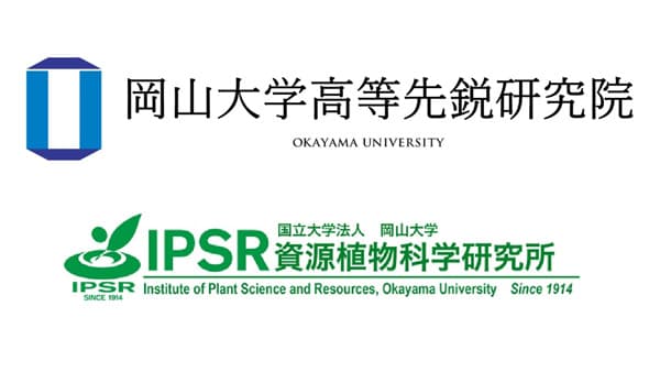 イネの節で鉄を細胞外に排出する新奇輸送体を発見　岡山大学