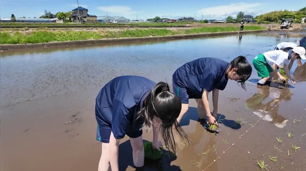 町工場の職人が田んぼの先生に　「ものづくり×米作り」体験　炊飯具「にわ先かまど」で炊飯も　ヤマナカ