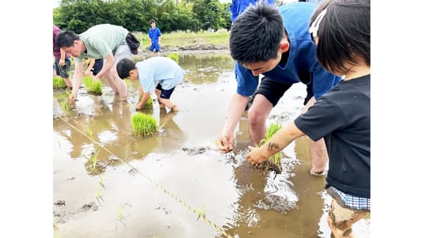 千葉県柏市で「米作り体験会」を実施　収穫米の一部をフードパントリーに寄付　パソナグループ