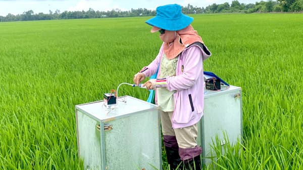 フィリピンで水田メタン削減　二国間クレジット事業でフェイガーと協業　ヤンマーアグリ