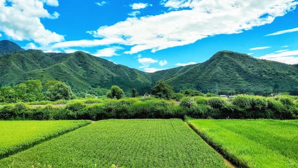 26年産米の農家手取り「2万5000円めざす」　暴落の予兆に抗い再生産価格を確保　ＪＡ越前たけふ