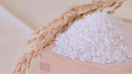 米の民間輸入4万8000ｔ　2か月で昨年分超す