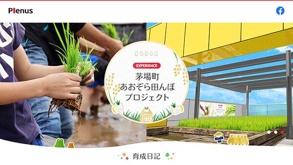 東京本社屋上で米作り　「茅場町あおぞら田んぼプロジェクト」スタート　プレナス