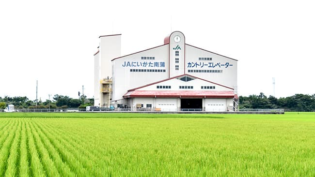 事故防止徹底　ＪＡ挙げて米の品質向上へ ＪＡにいがた南蒲・いちいカントリーエレベーター（新潟県）【ＣＥ品質事故防止強化月間】