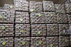 農家のために「当たり前のことを当たり前に」（下）【現地ルポ】ＪＡたじま （兵庫県）