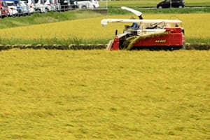 【30年産米作柄】全国主要213ＪＡの集計結果