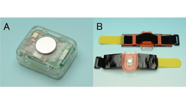 多機能尾部センサで疾病罹患子牛の行動・生理的特徴を明らかに　農研機構