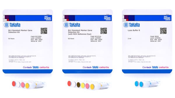 牛伝染性リンパ腫ウイルス（BLV）抵抗性に関与　マーカー遺伝子検出用リアルタイムPCRキット発売　タカラバイオ