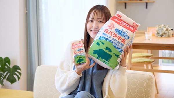鳥取生まれ「白バラ牛乳」ぬいぐるみで再現「BIGマスコット」新発売　大山乳業