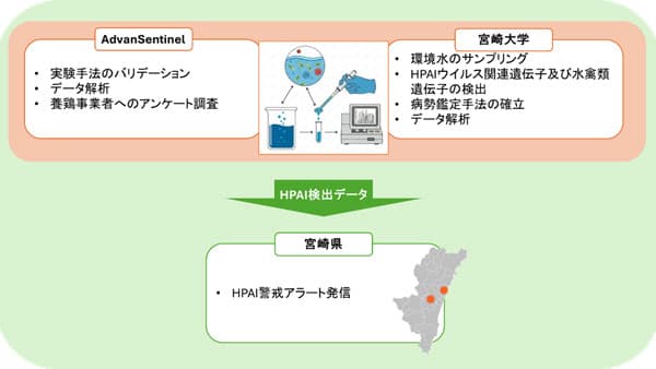 渡り鳥が飛来する湖沼水での鳥インフル検出情報を防疫へ　宮崎県で共同研究開始