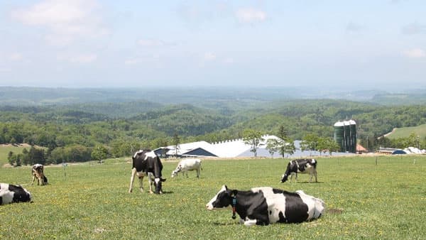 北海道・美幌峠牧場　牧草採草地の有機管理面積が2.3倍に　ワタミファーム