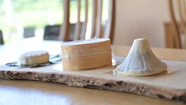 日本のチーズの今を伝えるドキュメンタリー映画　4月12日に公開