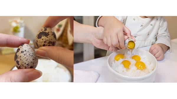 余剰うずら卵を最高に美味しい状態で　愛知県の養鶉農家が「生卵セット」緊急販売