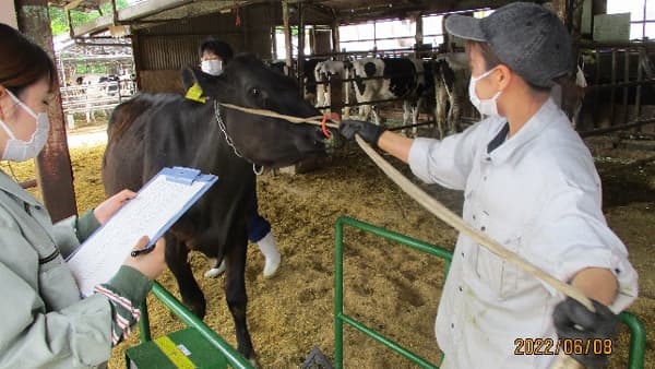 畜産ノウハウ習得・就農をサポート「畜産人材育成研修」募集開始