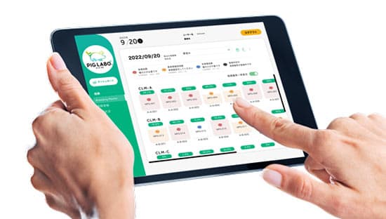 豚のAI発情検知サービス「PIG LABO　Breeding Master」テスト販売開始　日本ハム×NTTデータ