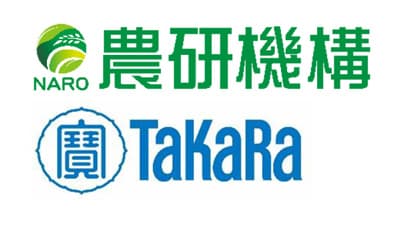 牛呼吸器病の原因「パスツレラ科細菌」薬剤耐性遺伝子検出キットを製品化