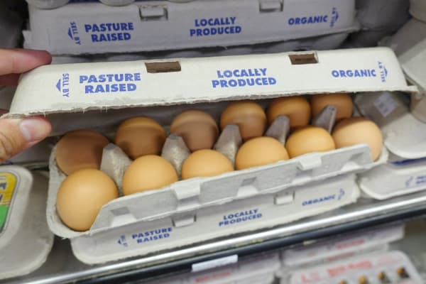 オーガニック家禽市場　2025年に186億7230万米ドル到達予測