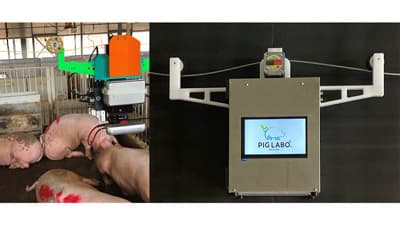 豚のAI体重推定装置「PIG LABO Growth Master」テスト販売開始　日本ハム