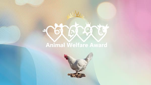 「アニマルウェルフェアアワード2025」養鶏業に刺激を与えたキユーピーなど3社が受賞