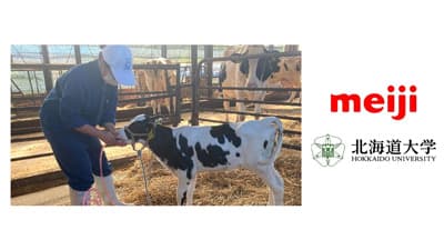 持続可能な酪農業へ　北海道大学、ファームノートと「子牛の健康に関する研究」開始　明治グループ