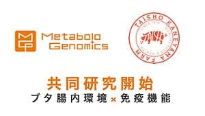 豚の腸内環境が免疫機能に与える影響、畜産技術に応用　山形の企業が共同研究