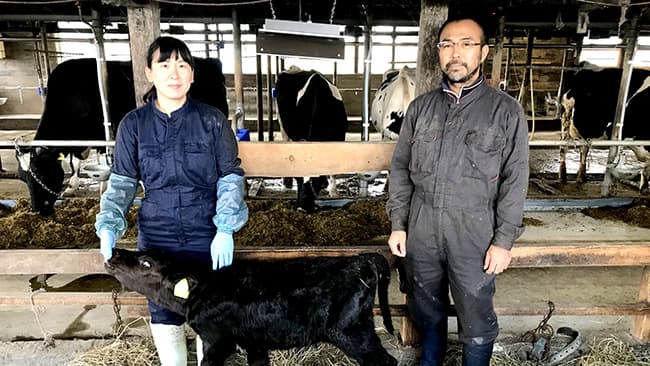 北海道の新規就農者をお菓子でサポート　子牛用ヒーター贈呈　シーキューブ