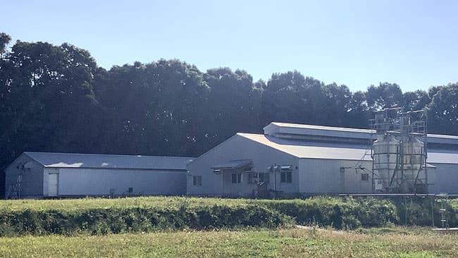 次亜塩素酸水溶液の脱臭機材による豚舎の脱臭研究開始　静岡中小試とキヤノンMJ