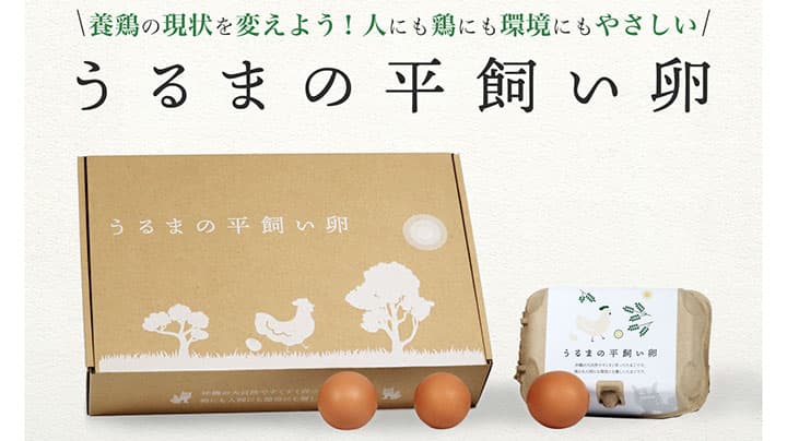 「うるまの平飼い卵」クラウファンディングで公開　EggSmart