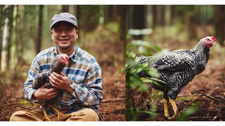 神奈川に地鶏の名産「丹沢滋黒軍鶏」を　清川村に「山路ファーム」設立
